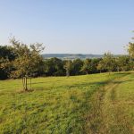 Foto 1 bij Vijlenerbos- Cottessen- Epen- Elzetterbos 🚶🏼‍♂️🌞🌳 27.08.2019