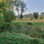 Foto 4 bij Vijlenerbos- Cottessen- Epen- Elzetterbos 🚶🏼‍♂️🌞🌳 27.08.2019