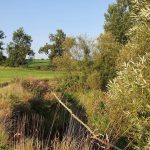 Foto 9 bij Vijlenerbos- Cottessen- Epen- Elzetterbos 🚶🏼‍♂️🌞🌳 27.08.2019