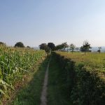 Foto 5 bij Vijlenerbos- Cottessen- Epen- Elzetterbos 🚶🏼‍♂️🌞🌳 27.08.2019
