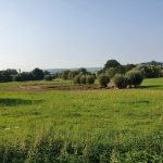 Foto 15 bij Vijlenerbos- Cottessen- Epen- Elzetterbos 🚶🏼‍♂️🌞🌳 27.08.2019