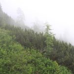 Foto 3 bij Schlern- Tierser Alp- Mahlknechthütte