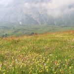 Foto 7 bij Schlern- Tierser Alp- Mahlknechthütte