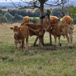 Foto 15 bij Rondje naar Orsbach, Vijlen, Mechelen en Gulpen