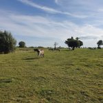 Foto 2 bij Mechelen- Cottessen- Epen 👫🏼☀️🌄 22.09.2019