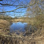 Foto 4 bij Wandelen door het land van Ollie 🐈