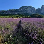 Foto 1 bij Fietslust 630: Van Mirabel-et-Blacons naar Col du Pas de Lauzun