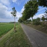 Foto 15 bij Wie sjoeën ós Limburg is