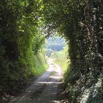 Foto 3 bij Wie sjoeën ós Limburg is