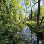 Foto 4 bij Fietslust: de parel van Brabant en Limburg