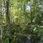 Foto 14 bij Fietslust: de parel van Brabant en Limburg