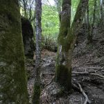 Foto 67 bij Canyon des Gueulards en Gorges d'Omblèze