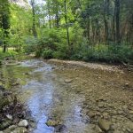 Foto 51 bij Canyon des Gueulards en Gorges d'Omblèze
