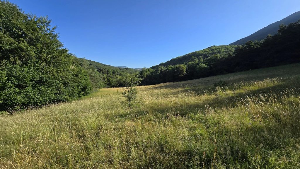 Foto bij Canyon des Gueulards en Gorges d’Omblèze