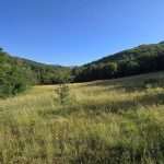 Foto 18 bij Canyon des Gueulards en Gorges d'Omblèze