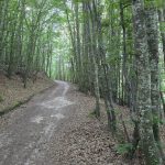 Foto 44 bij Canyon des Gueulards en Gorges d'Omblèze
