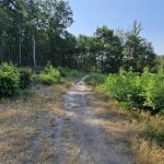 Foto 4 bij Rondje vanuit Eygelshoven