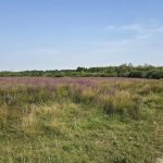 Foto 3 bij Rondje vanuit Eygelshoven