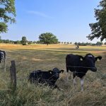 Foto 2 bij Rondje vanuit Eygelshoven
